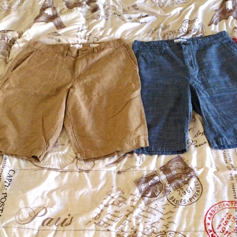Men's Size 30 Tan and Blue Shorts